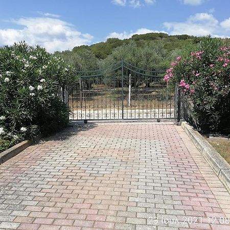 Elena'S Green House Nea Iraklitsa Exterior photo