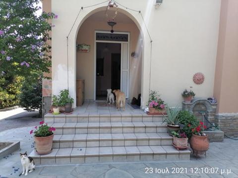 Elena'S Green House Nea Iraklitsa Exterior photo